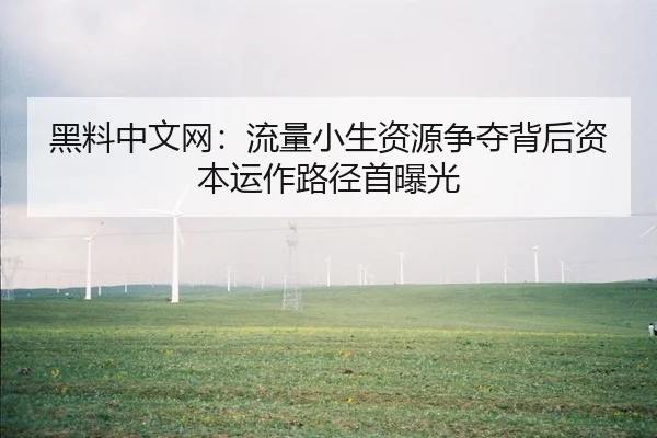 黑料中文网：流量小生资源争夺背后资本运作路径首曝光